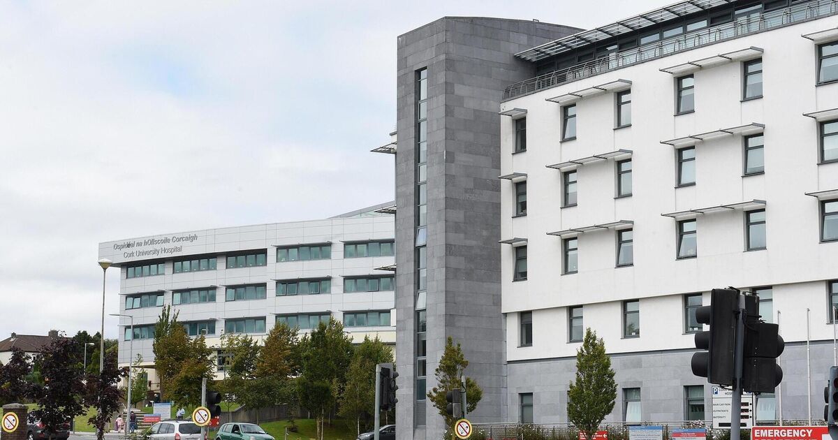 HSA investigating death from collapsing wall in West Cork