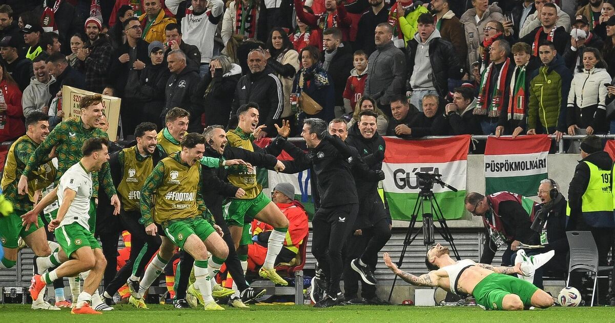 Outrage as Ireland fans face paying up to €595 for a single group stage ticket at World Cup