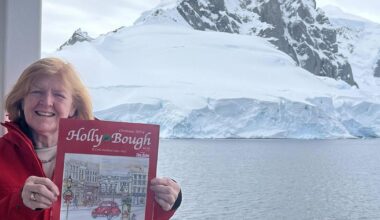 Pictures: Holly Bough challenge continues....