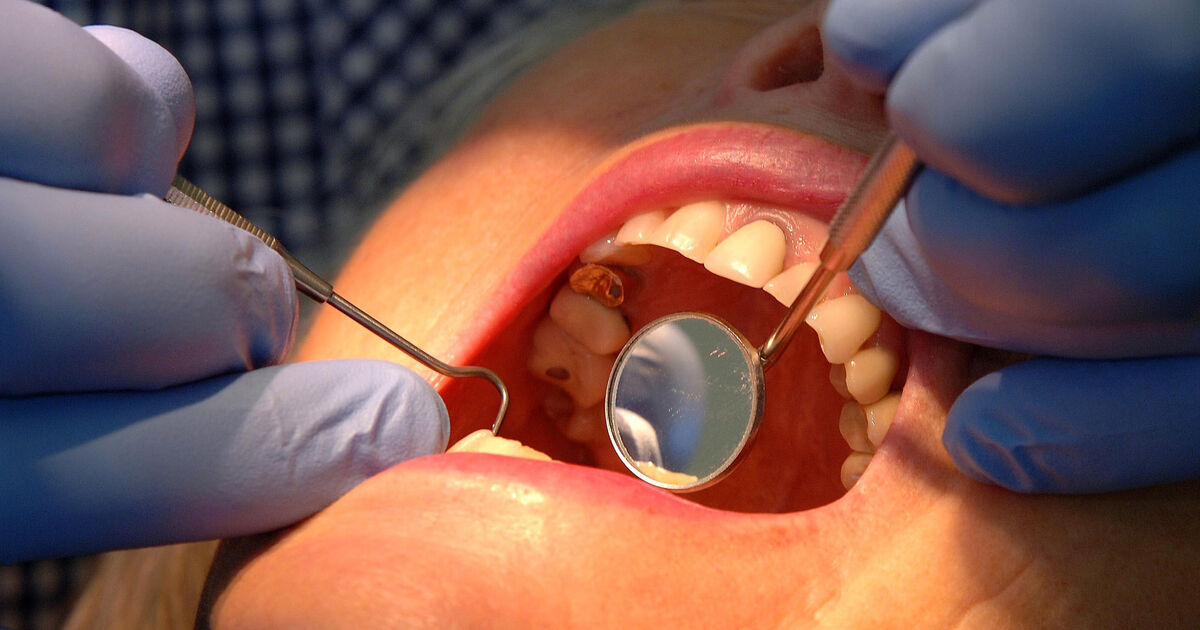 Push on for more dental training places in Cork