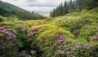 Habitats report a stark contrast to nitrates decision