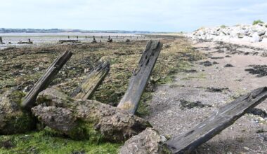 UCC study urges council to take action on coastal erosion 