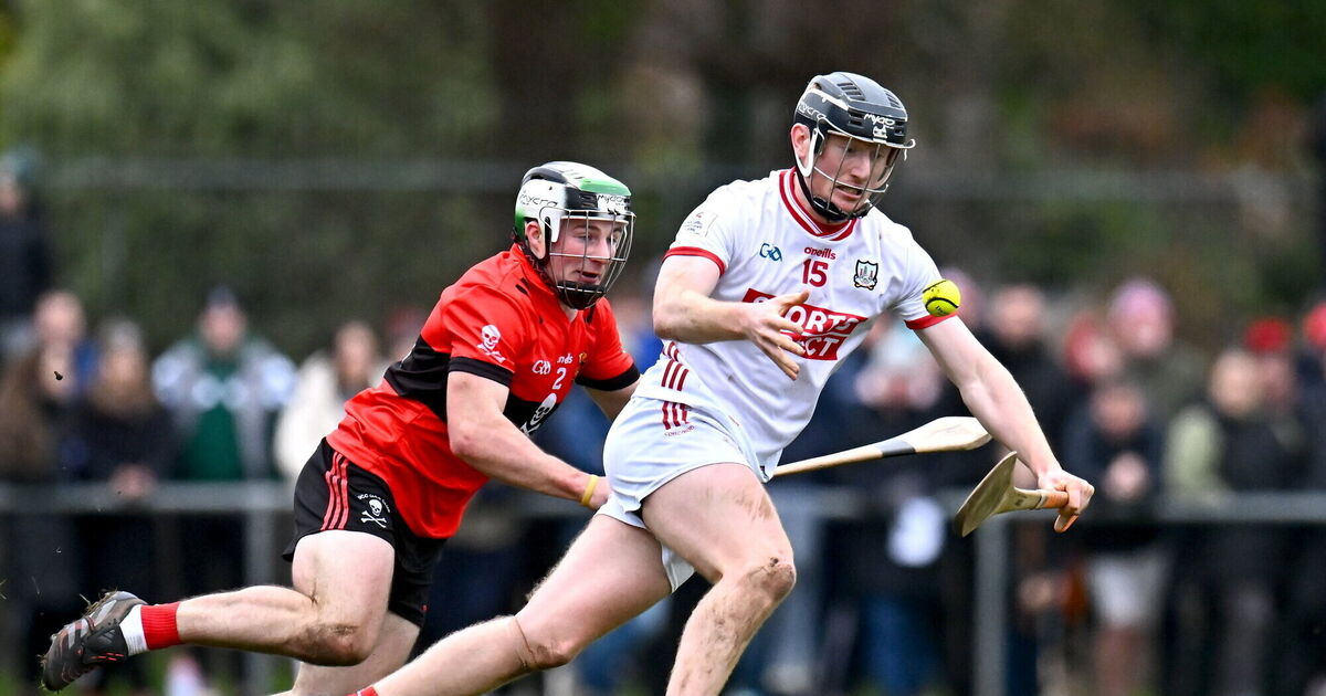John Horgan picks out the young hurlers to impress from UCC's victory over Cork