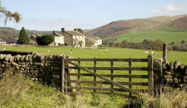 I was promised the farm, but it was left to someone else