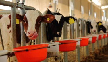 Herd Tasks: Your weekly farming checklist