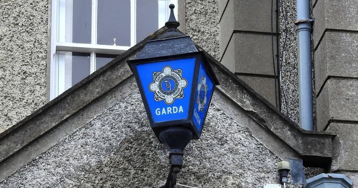 Woman, 50s, seriously injured following Carlow dog attack