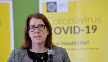 Anne O’Connor to be appointed as new HSE chief executive – The Irish Times