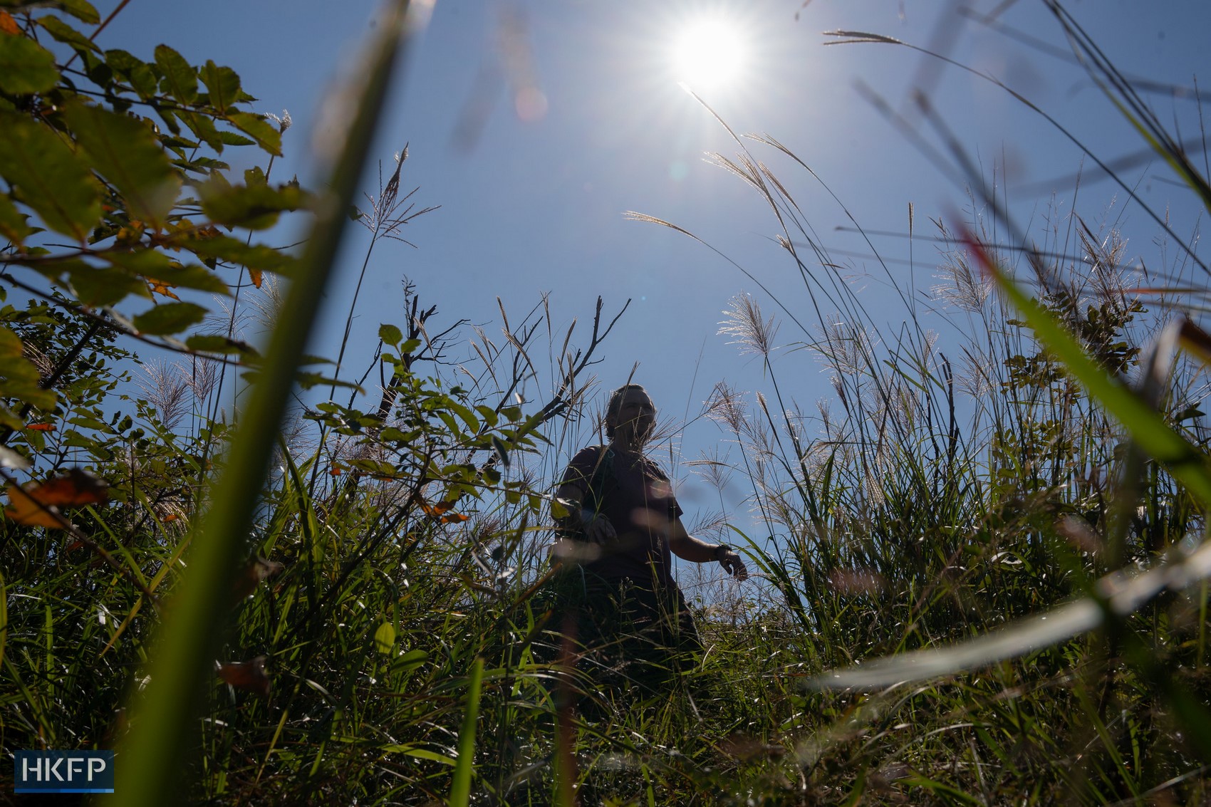 Hong Kong-British wildlife videographer Chris Owen. Photo: Kyle Lam/HKFP. 