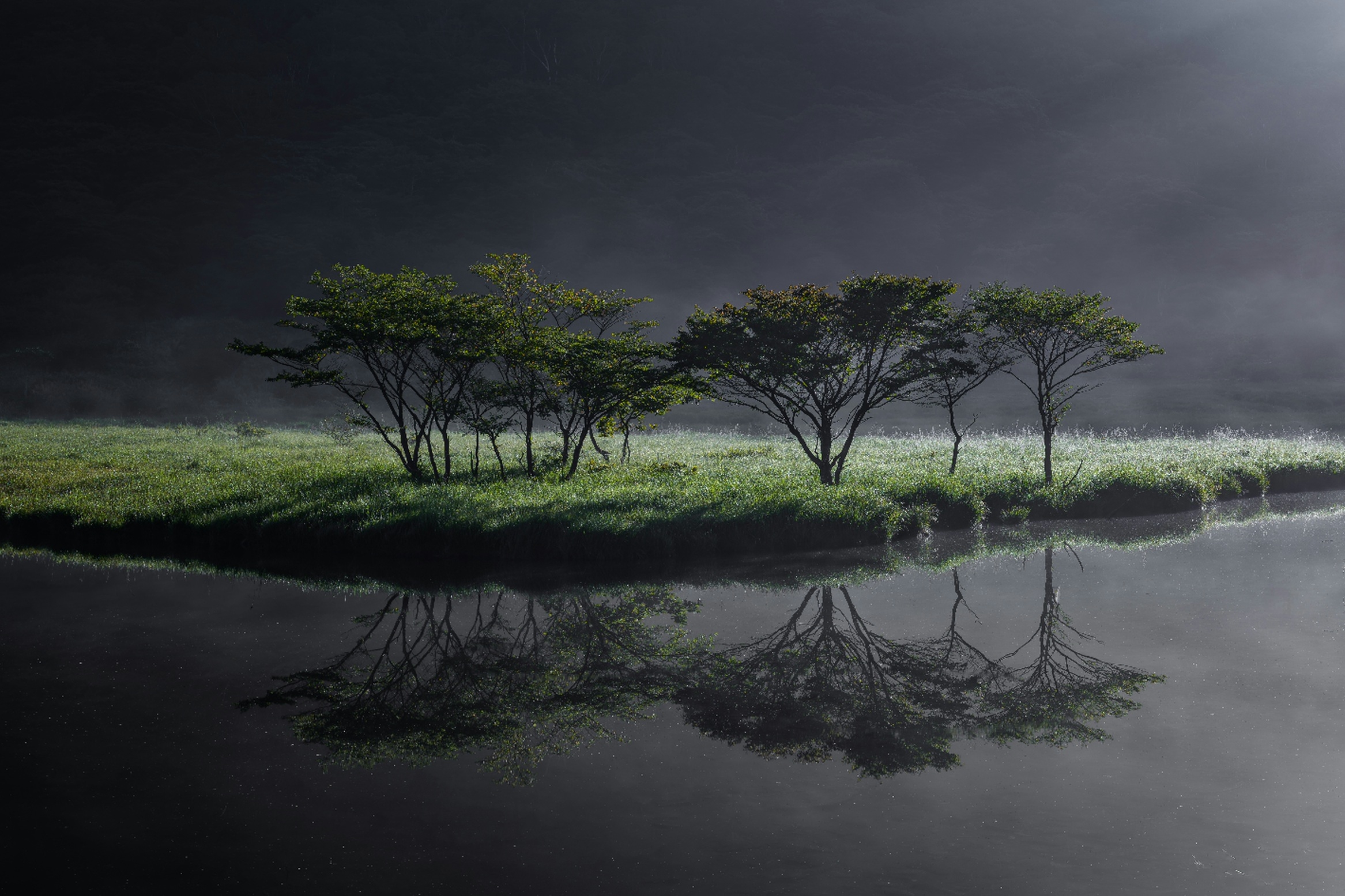 A serene, dark photograph of a misty island with green-leafed trees, dramatically lit and perfectly reflected in the still, dark water below.