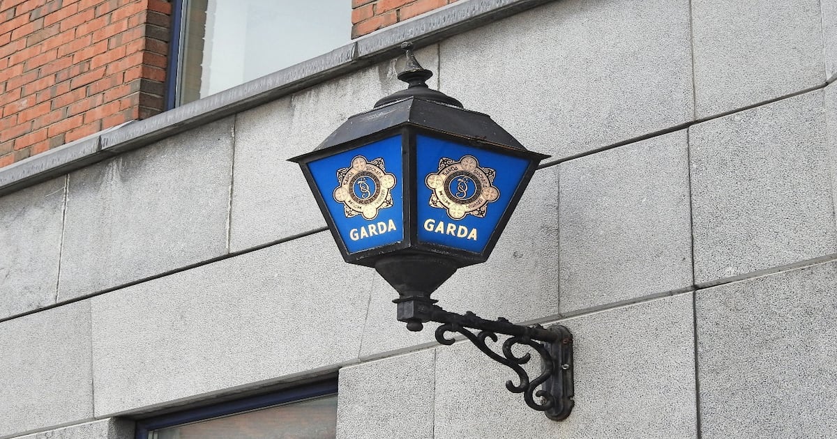 Parents jailed over physical and emotional abuse of their six children – The Irish Times