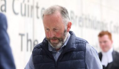Farmer who killed aunt by driving over her has jail sentence cut on appeal – The Irish Times