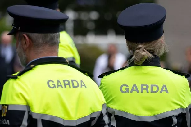 Gardai are investigating the incident