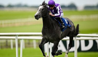 Curragh shareholders see €18m of loans converted to equity