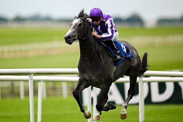 Curragh shareholders see €18m of loans converted to equity