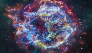 NASA-JAXA XRISM Finds Elemental Bounty in Supernova Remnant