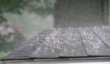 Orange wind warnings for several counties as Storm Bram set to hit Ireland – The Irish Times