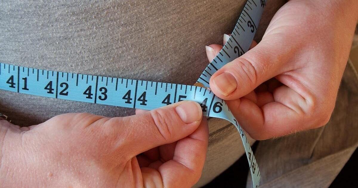 Obesity Could Speed Alzheimer's Progression, Study Suggests | Health