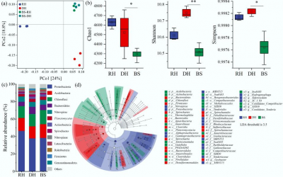 Hidden arsenic threat: Loss of underwater plants turns lake sediments from sink to source