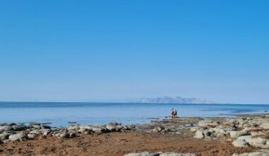 Great Salt Lake Roundworm Gets Shoshone Name