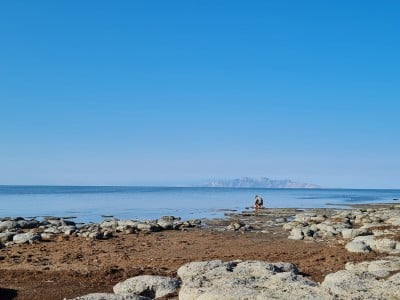 Great Salt Lake Roundworm Gets Shoshone Name