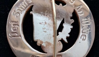 Gardaí investigate theft of Leinster SFC winners medal