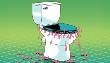 Why Does Everyone Think They Have Parasitic Worms?