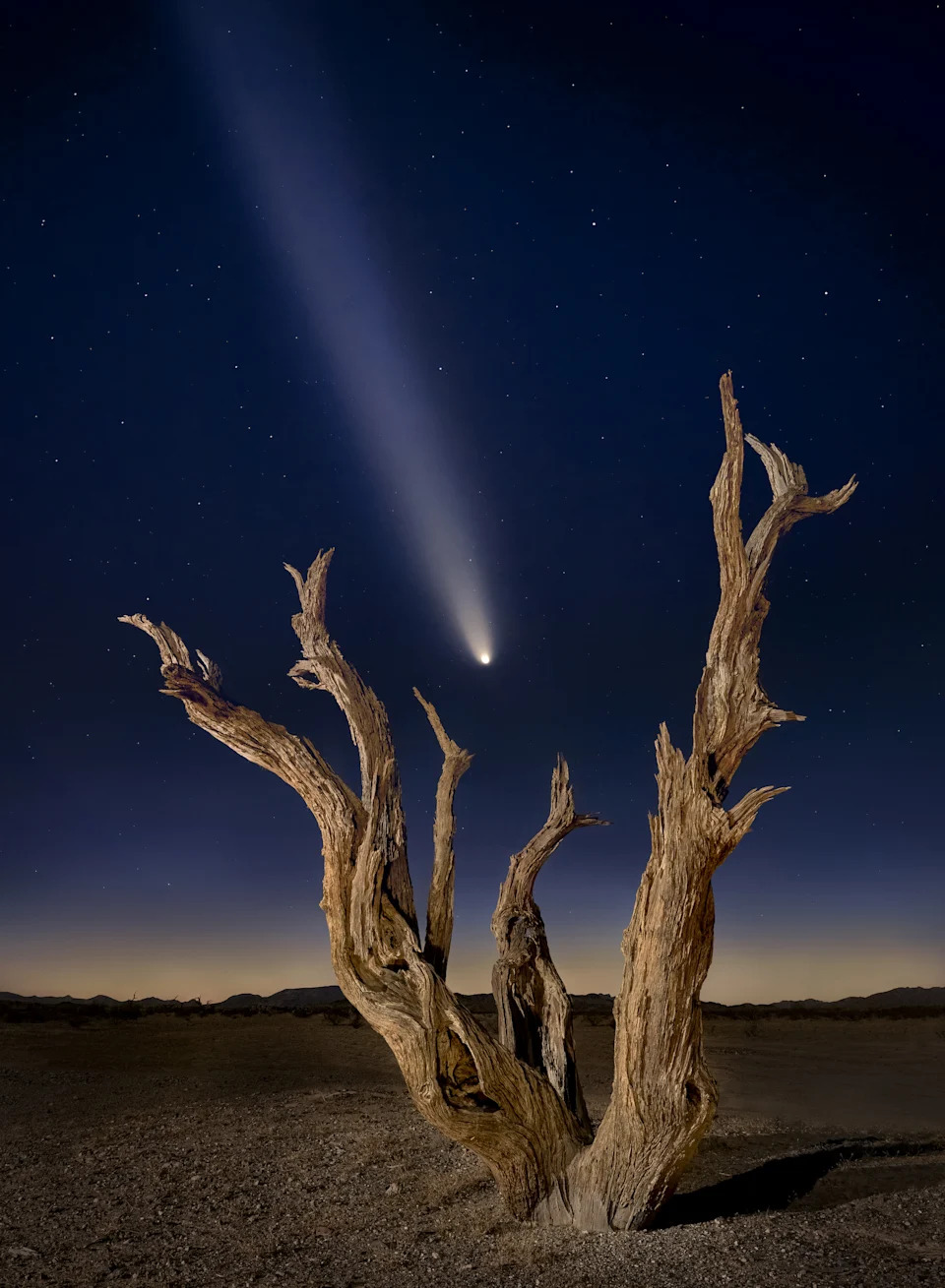 Made from 13 light frames by Starry Landscape Stacker 1.8.0. Algorithm: Min Horizon Noise