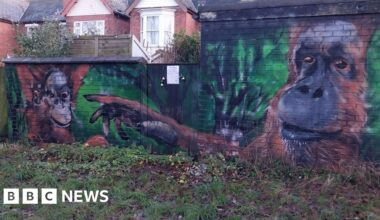 Artist flies back to Coventry from US to secretly repair mural
