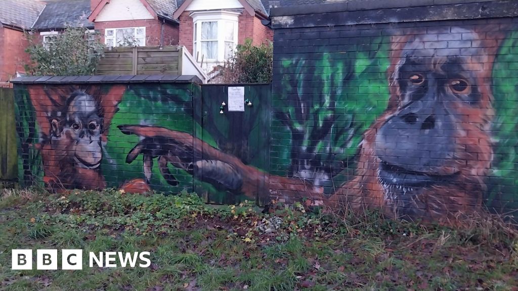 Artist flies back to Coventry from US to secretly repair mural