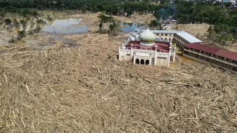 Getty Images An aerial shot of a mosque standing amid a sea of uprooted tea trunks