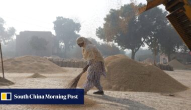 India’s rice exports face price pressures as Trump threatens more tariffs