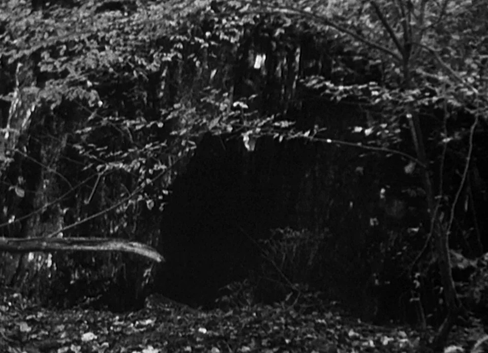 Dark cave entrance surrounded by dense foliage and trees