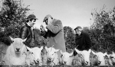 A lovely, warm, gentle man who dragged me out of bed at 5.30am – The Irish Times