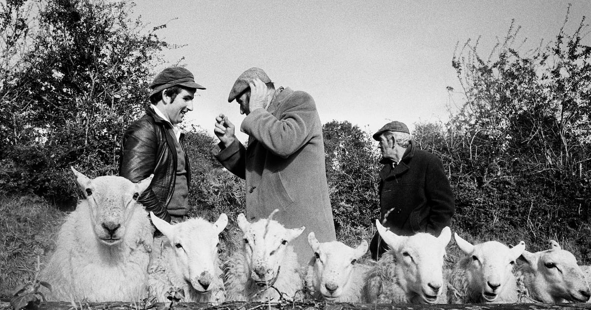 A lovely, warm, gentle man who dragged me out of bed at 5.30am – The Irish Times