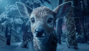 GenAI Video Platform Artlist Launches Holiday Short 'First Flight'