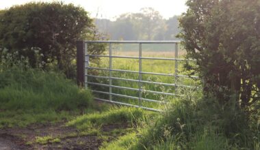 Judge approves insolvency arrangement writing down farmer’s €1.5m debt to €20,000 – The Irish Times