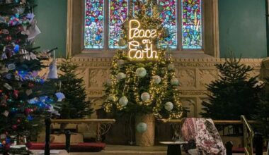 After 10 years, magical Christmas festival returns to south Dublin with walk through 50 trees