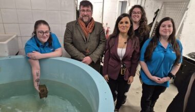 Rare egg laid by endangered species found in waters next to Wicklow’s new aquarium