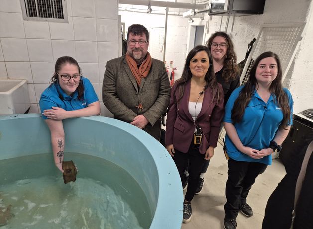 Rare egg laid by endangered species found in waters next to Wicklow’s new aquarium