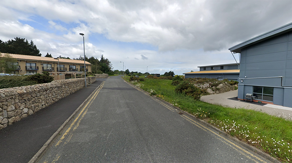 The Sandyford IPAS plan and the Delaneys