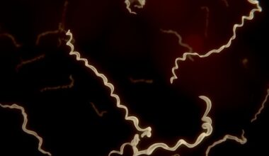 How tick saliva reprograms the skin’s immune defenses