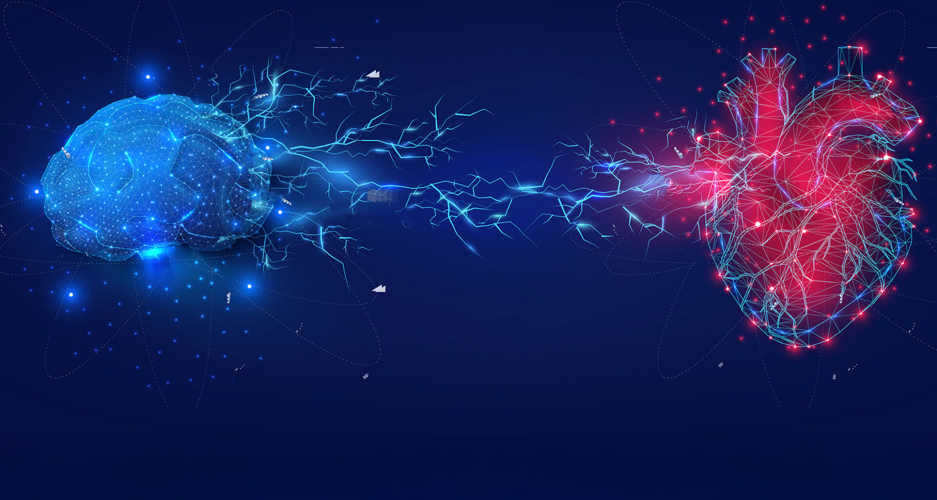 Digital Illustration of Brain and Heart Connectivity.