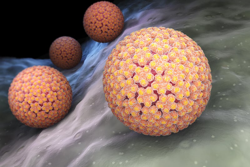 A 3D Illustration of Human papillomavirus (HPV),