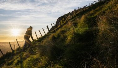 Chilean needle grass was discovered on Te Mata Peak, and experts are concerned about the invasive plant species.