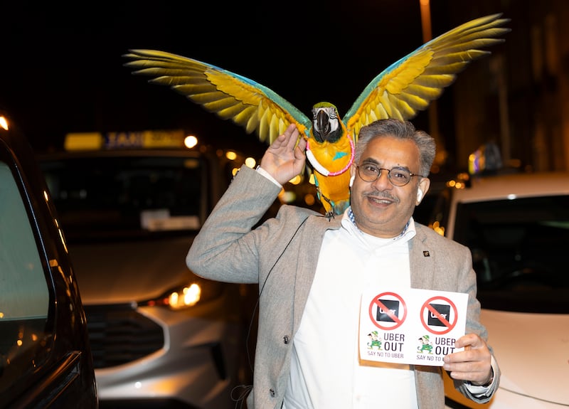 Driver Haji with pet parrot ZuZu at the protest against Uber outside Government Buildings. Photo: Sam Boal/Collins