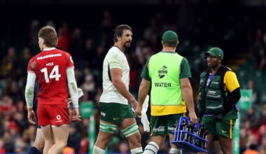 Eben Etzebeth’s suspension is lenient for such a repugnant offence - The Irish Times