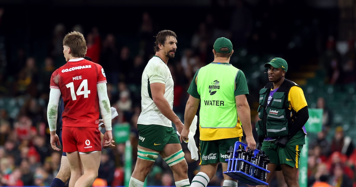 Eben Etzebeth’s suspension is lenient for such a repugnant offence - The Irish Times