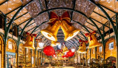 Deer Got Lost And Barreled Into A Christmas Shop - Video Here