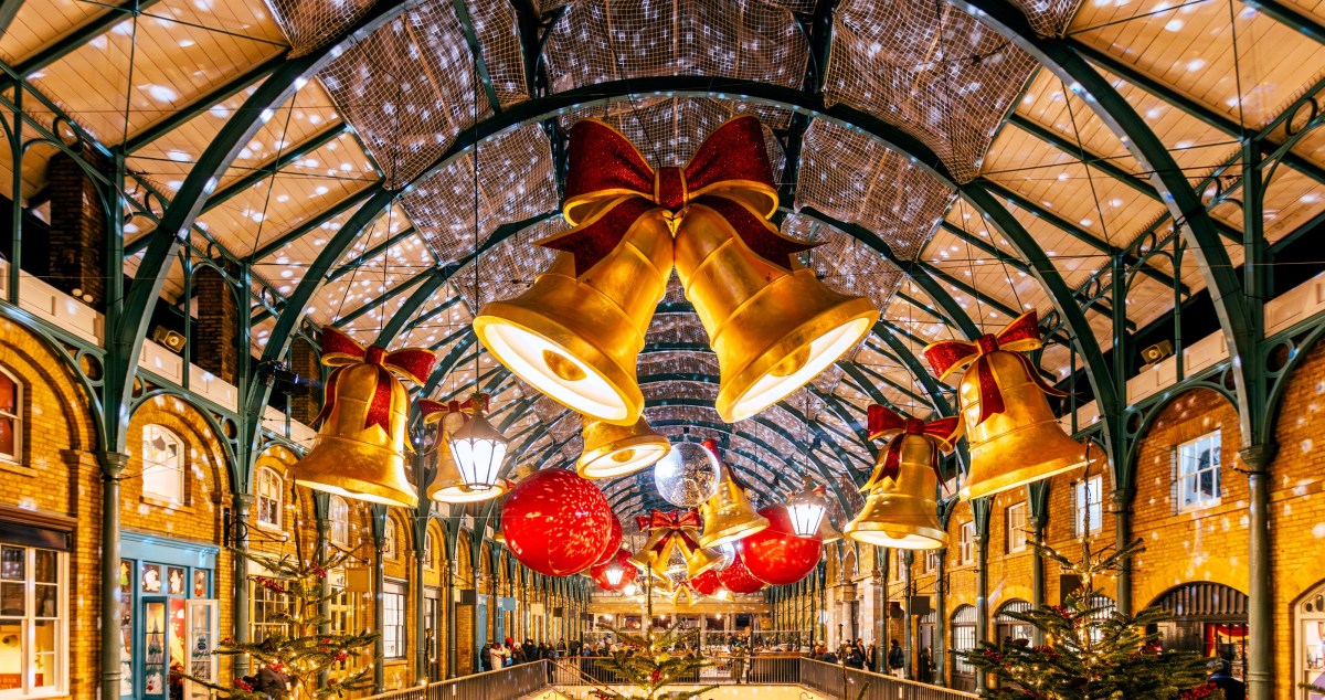 Deer Got Lost And Barreled Into A Christmas Shop - Video Here