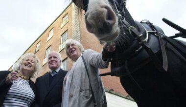 Pedestrian killed in road incident in Carlow named as well-known artist Philippa Bayliss – The Irish Times